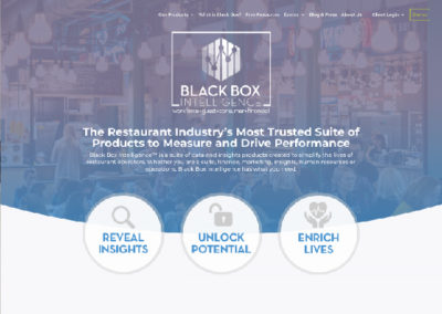 Black Box Intelligence Website
